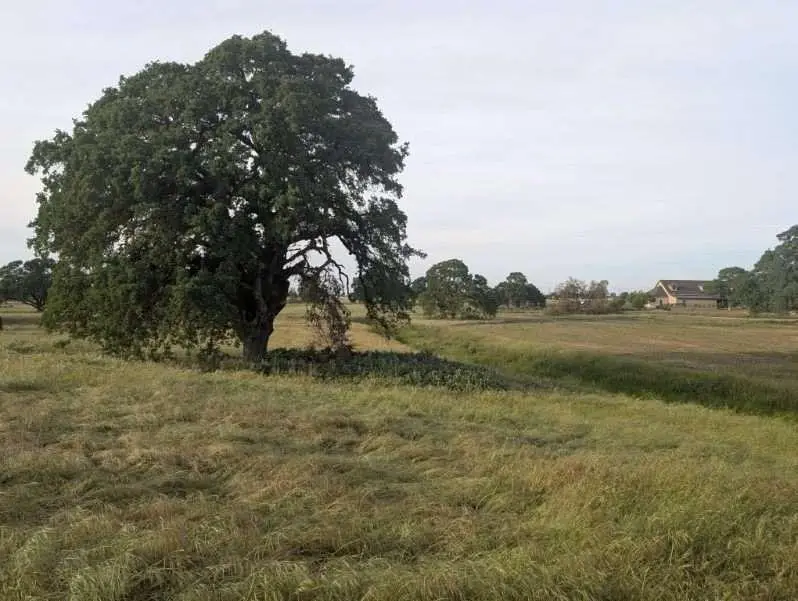 14100 Liberty Road, Galt, CA 95632 - #2