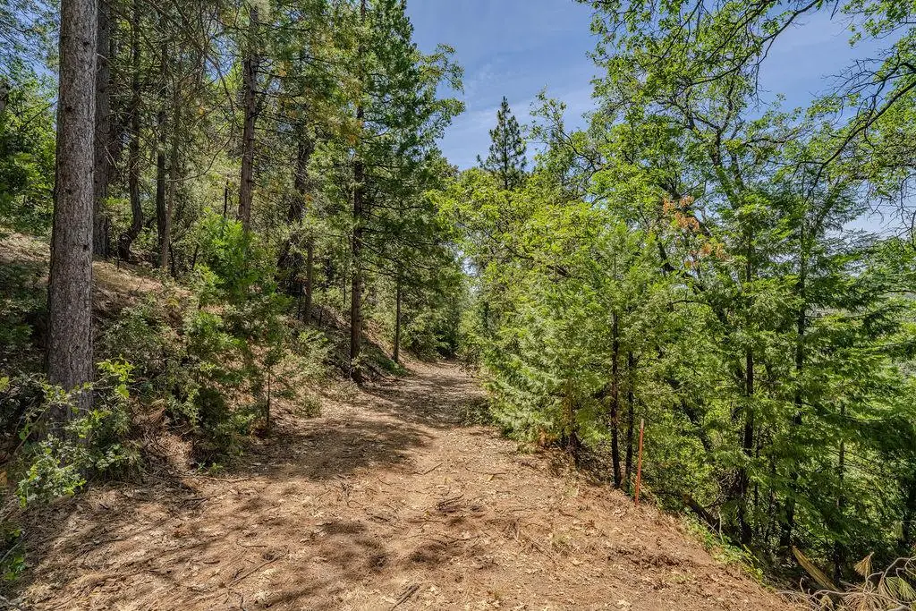 24100 Canterbury Road, Pioneer, CA 95666 - #1