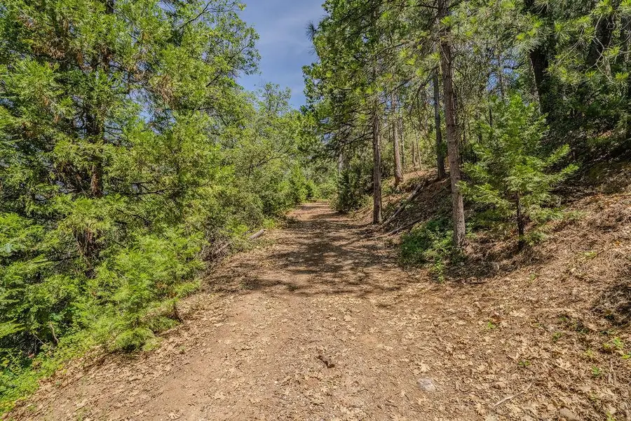 24100 Canterbury Road, Pioneer, CA 95666 - #2