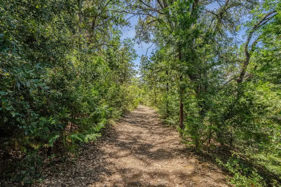24100 Canterbury Road, Pioneer, CA 95666 - #3