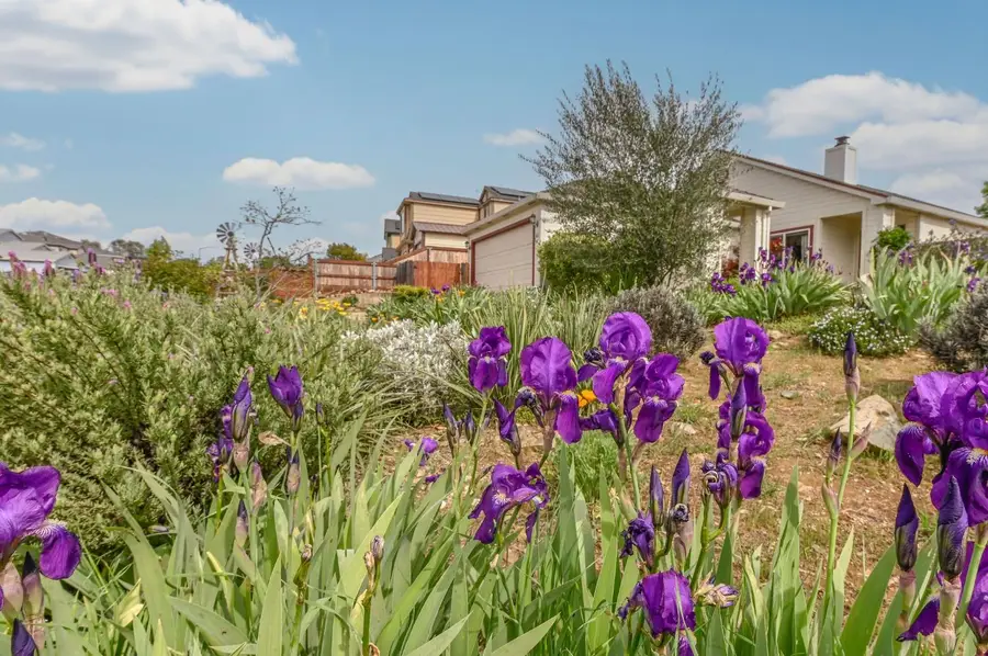 166 Placer Drive, Jackson, CA 95642 - #2