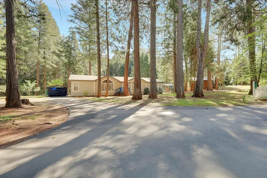 138 Big Fir Road, Forbestown, CA 95941 - #3