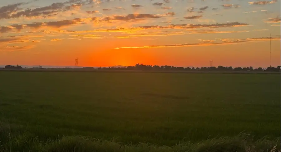 9500 Sunset Boulevard, Pleasant Grove, CA 95668 - #3