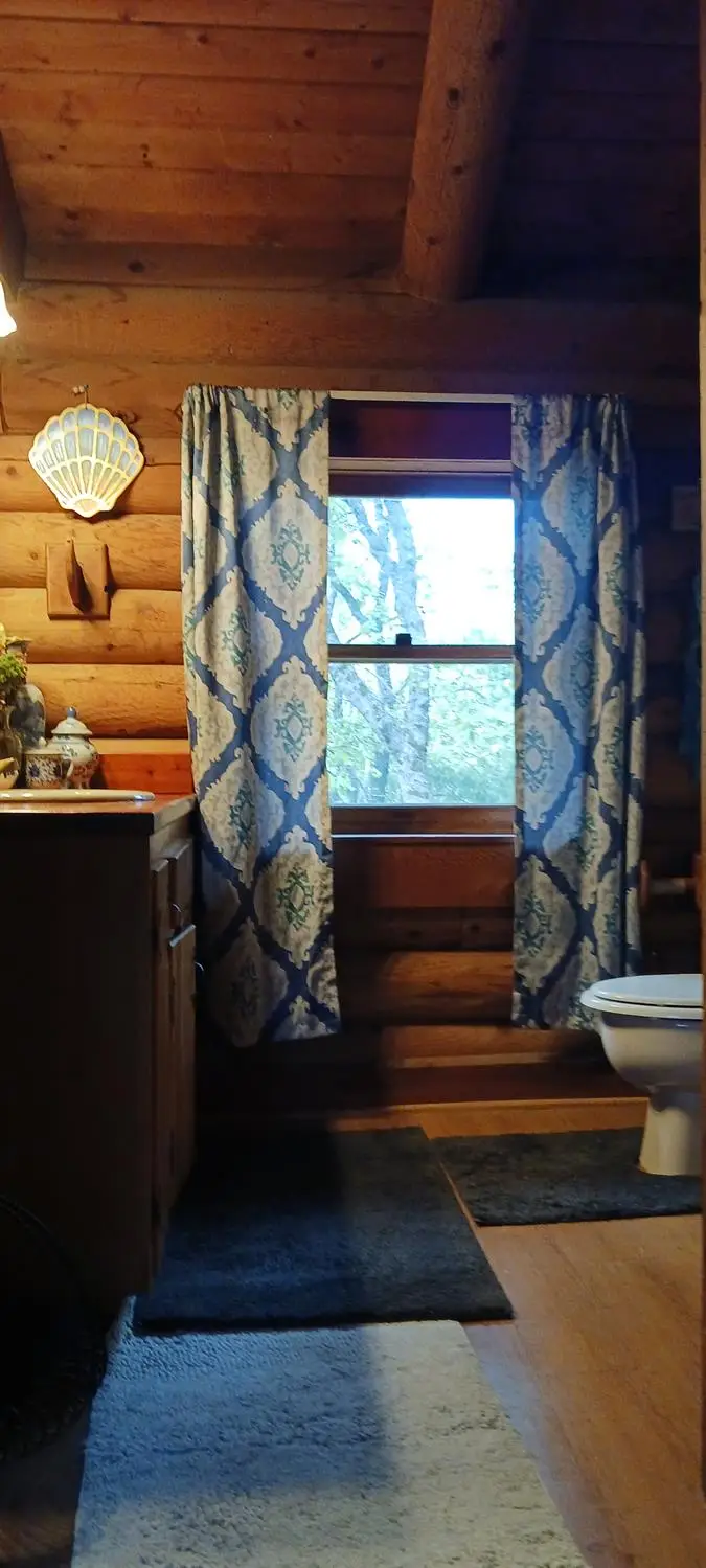 1550 Copperton Road, Camino, CA 95709 - #3