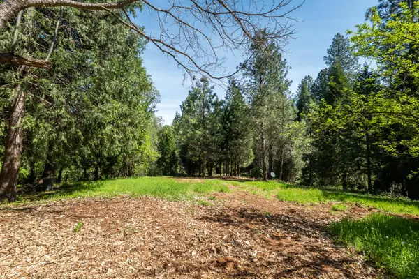 202 Gold Flat Road, Nevada City, CA 95959