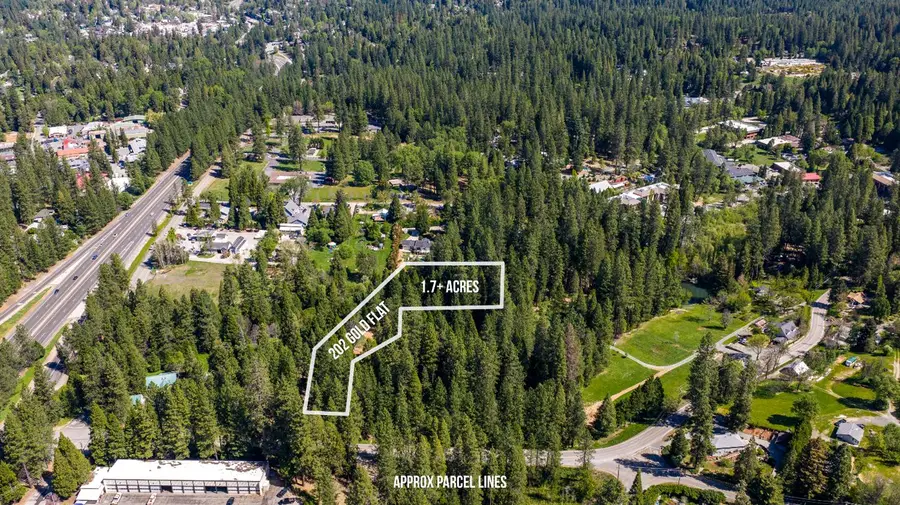 202 Gold Flat Road, Nevada City, CA 95959 - #3