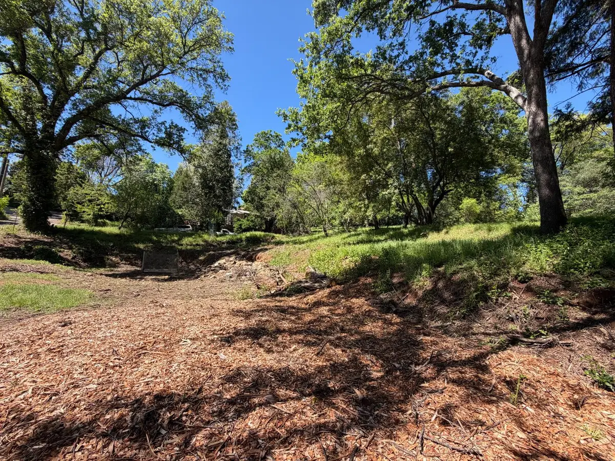 0 Lincoln Alley, Placerville, CA 95667 - #1