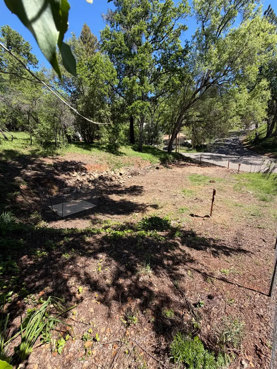 0 Lincoln Alley, Placerville, CA 95667 - #3