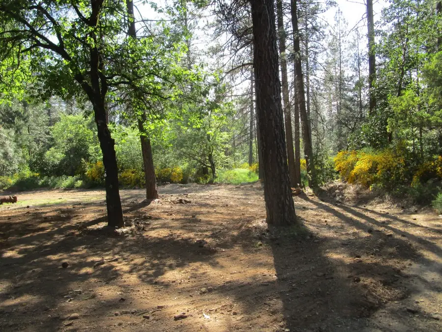 16289 Badger Hill Road, Nevada City, CA 95959 - #2