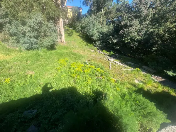 164 Sheridan Road, Oakland, CA 94603