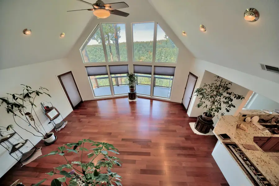 19015 E Pine Drive, Pioneer, CA 95666 - #2