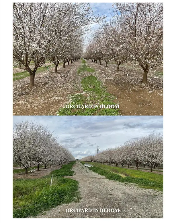 18275 Jensen Lane, Esparto, CA 95627