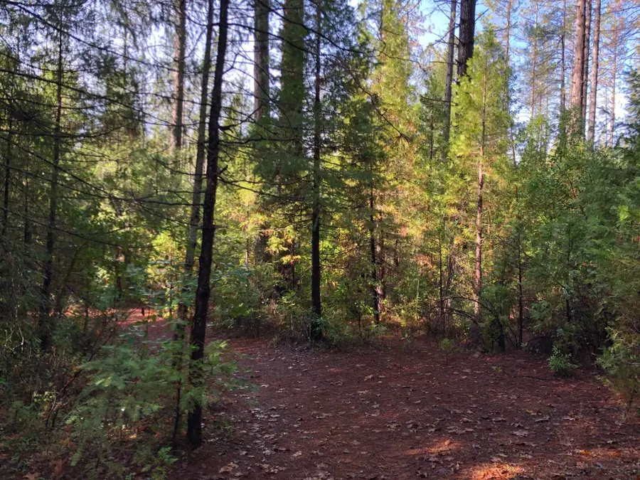 0 Whispering Pines, Challenge, CA 95941 - #2