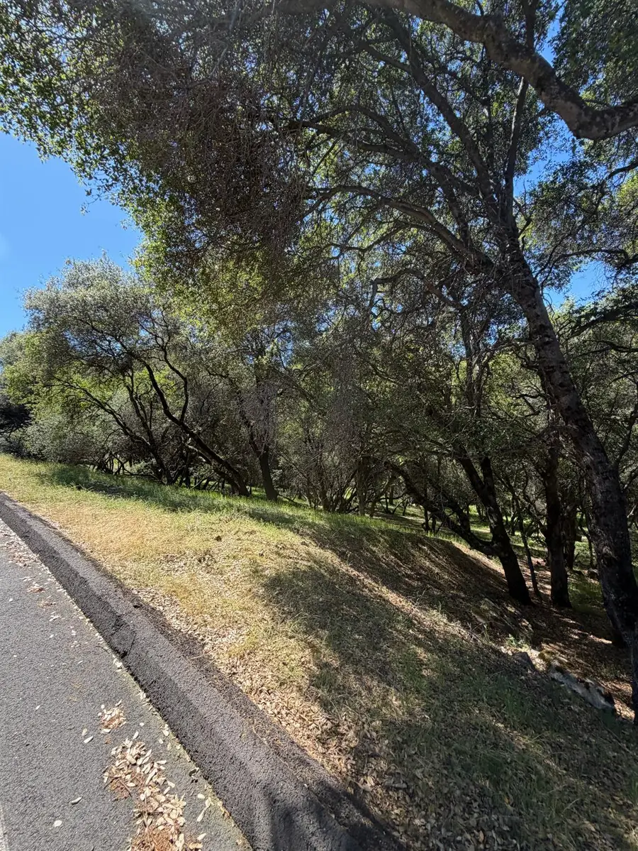 11500 Buckeye Cir, Penn Valley, CA 95946 - #2