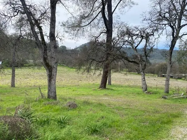 10601 Acorn Lane, Angels Camp, CA 95222 - #1