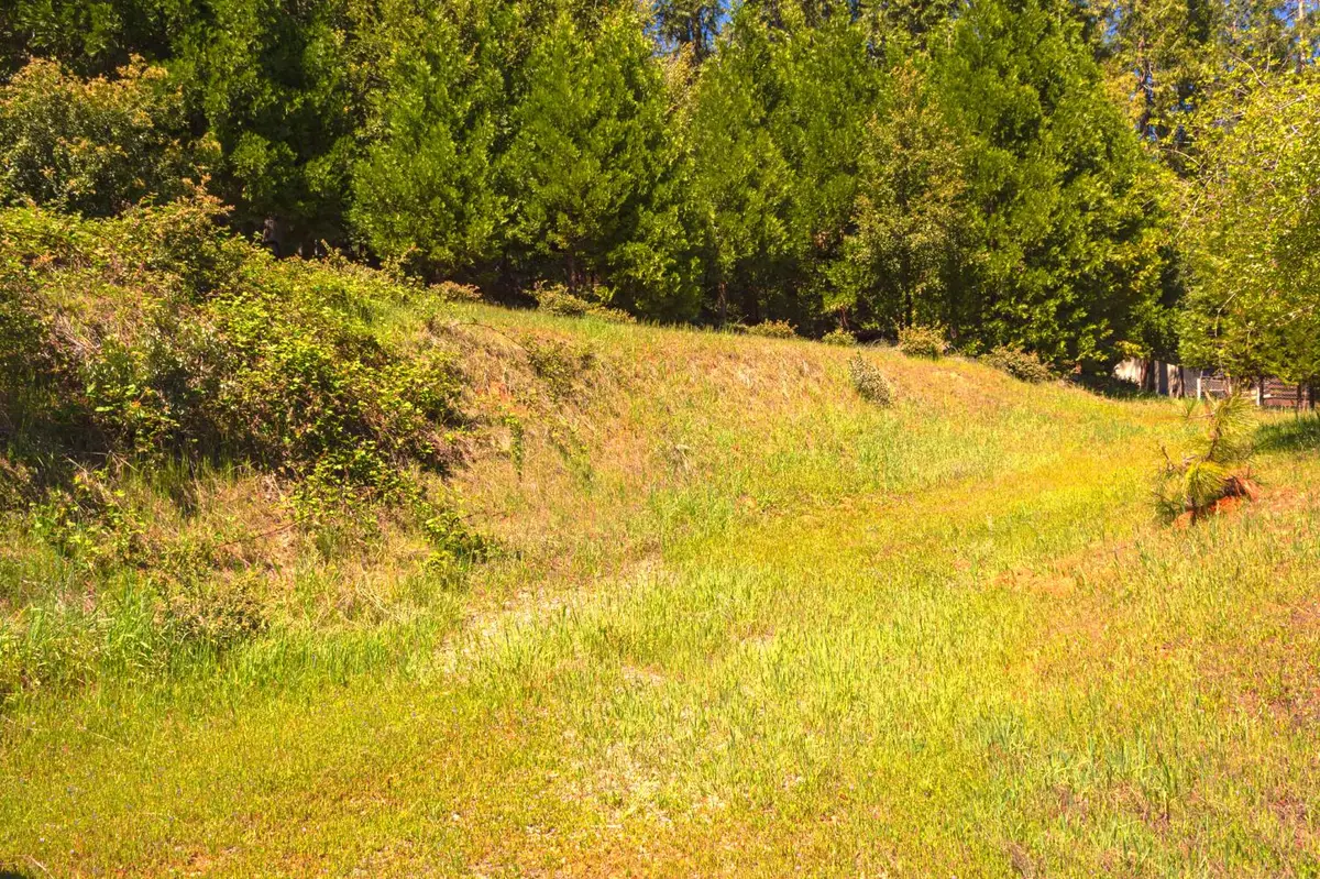 16455 Mckenzie Drive, Pioneer, CA 95666 - #1