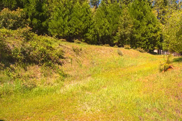 16455 Mckenzie Drive, Pioneer, CA 95666