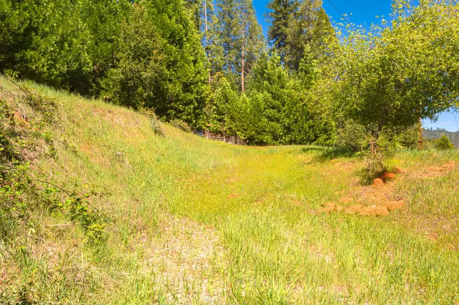 16455 Mckenzie Drive, Pioneer, CA 95666 - #2