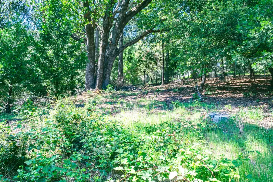 16455 Mckenzie Drive, Pioneer, CA 95666 - #3