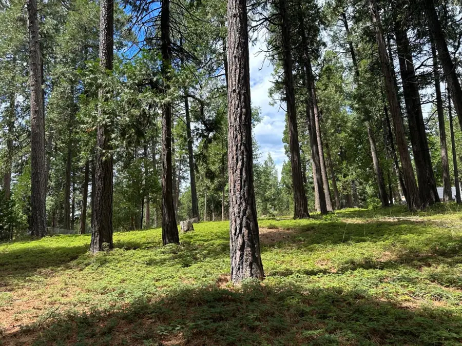 27460 State Highway 88, Pioneer, CA 95666 - #2