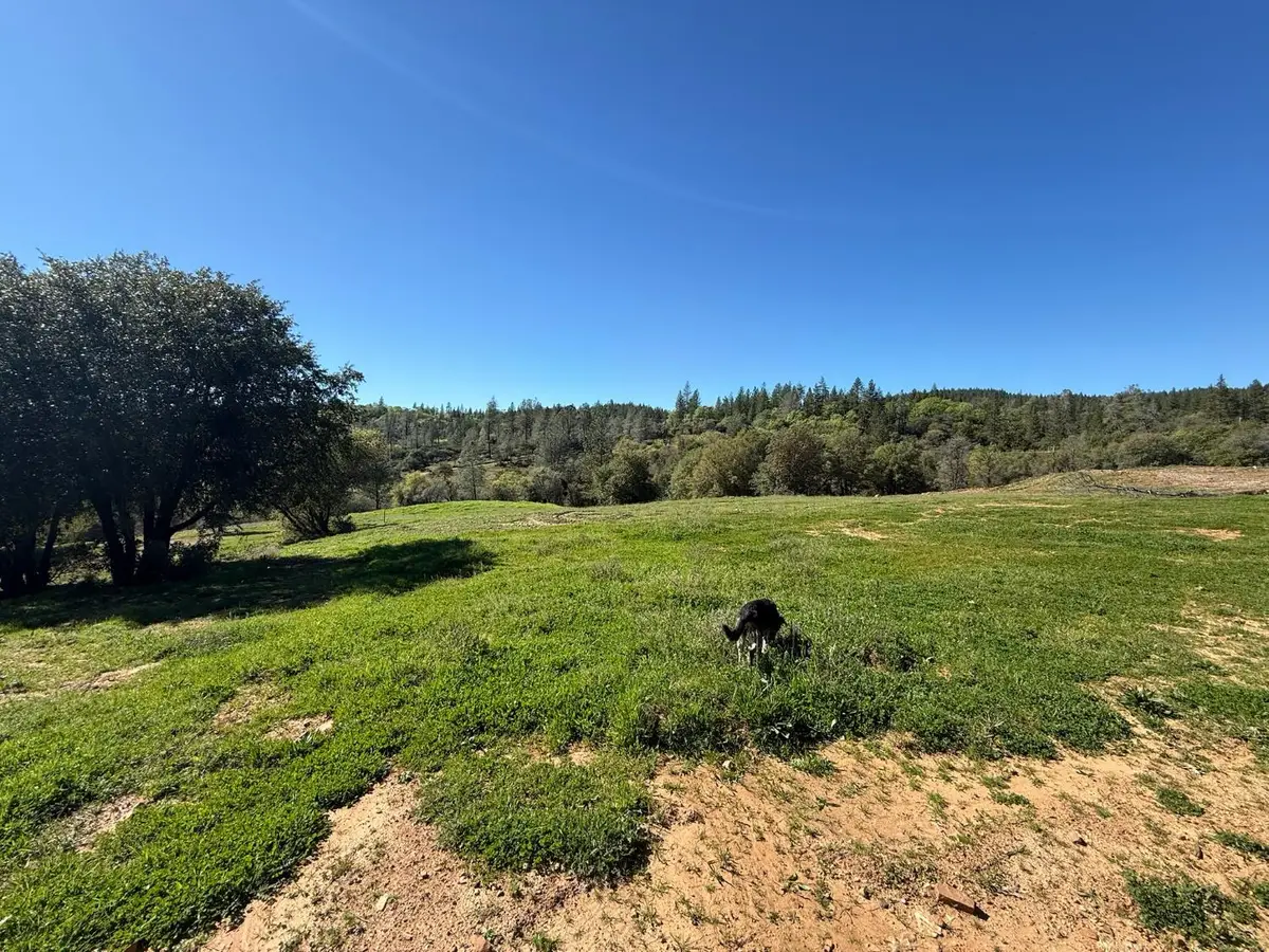 0 Greenbush Road, Forbestown, CA 95941 - #1