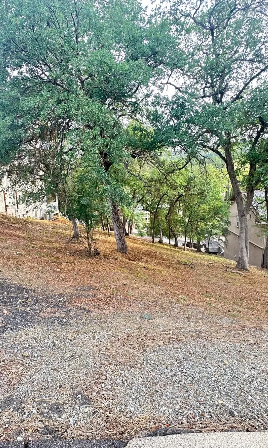 423 Winchester Way, Copperopolis, CA 95228 - #3