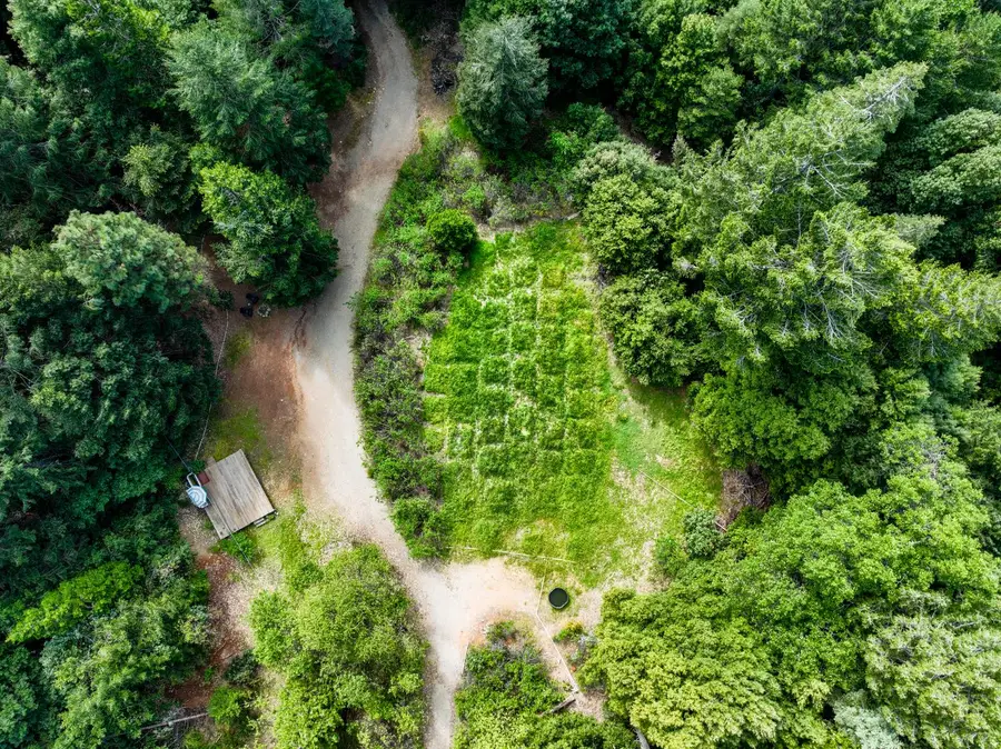 16600 Holiday Way, Nevada City, CA 95959 - #3