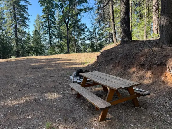 28087 Rolling Hills Road, Pioneer, CA 95666