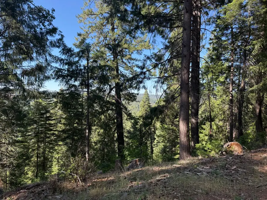 28087 Rolling Hills Road, Pioneer, CA 95666 - #2