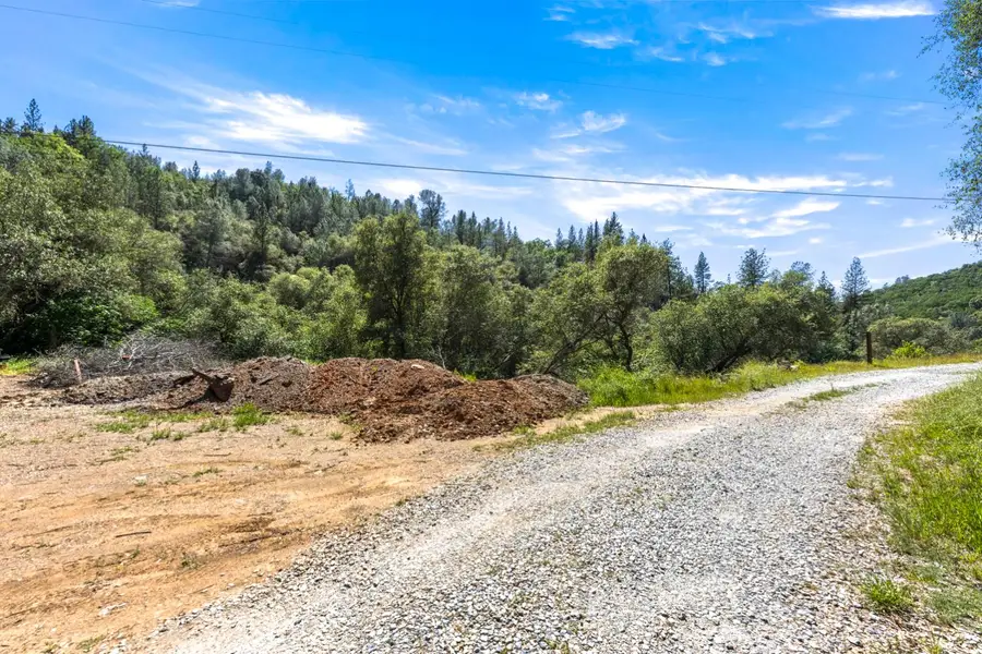 10 Secluded Way, Cameron Park, CA 95623 - #3