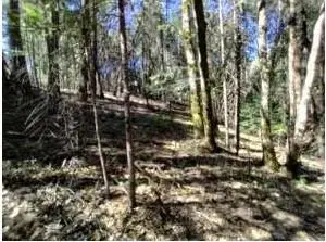 13928 Manion Canyon Road, Grass Valley, CA 95945 - #3