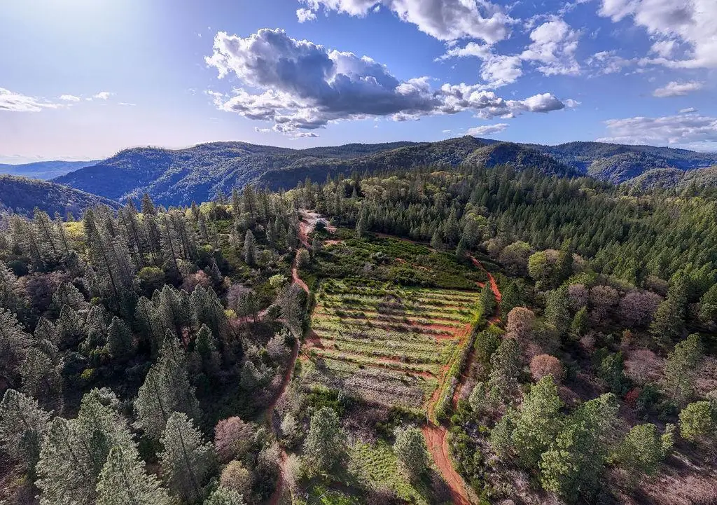 10571 Sebastopol Road, North San Juan, CA 95960 - #1