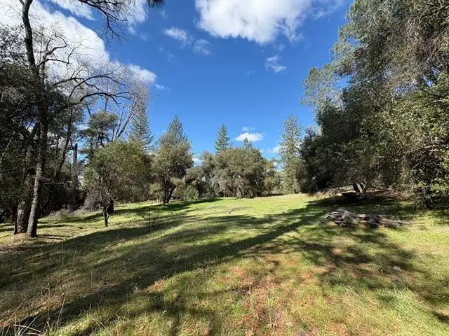 0 Parcel Trust 19-75, San Andreas, CA 94131 - #1