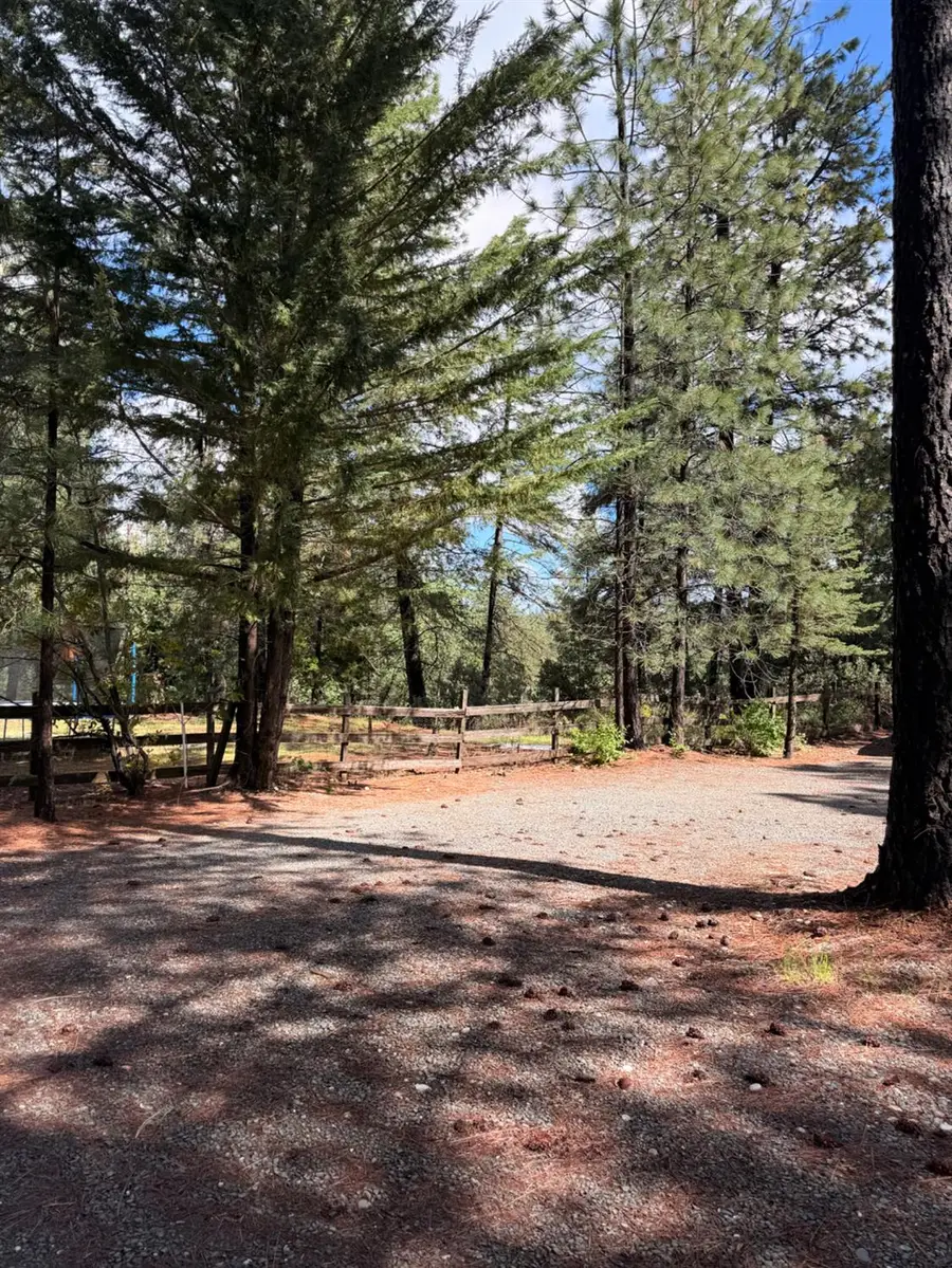 115 Main Street, Gold Run, CA 95717 - #3