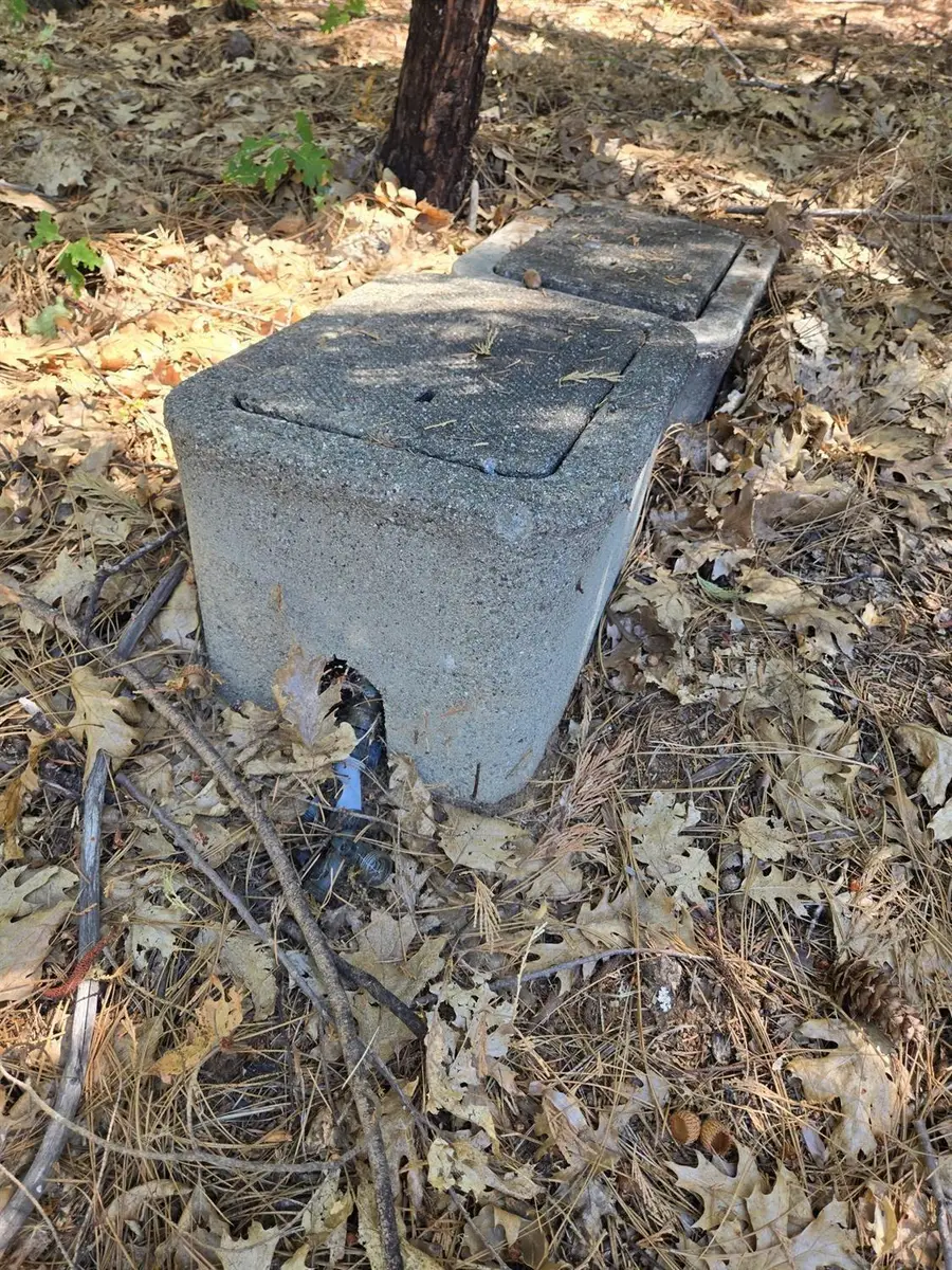 3224 York Court, Pollock Pines, CA 95726 - #2