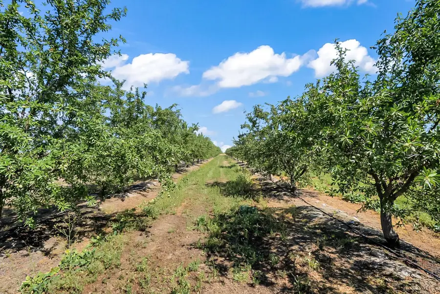 0 Buchanan Hollow Rd, Le Grand, CA 95333 - #3