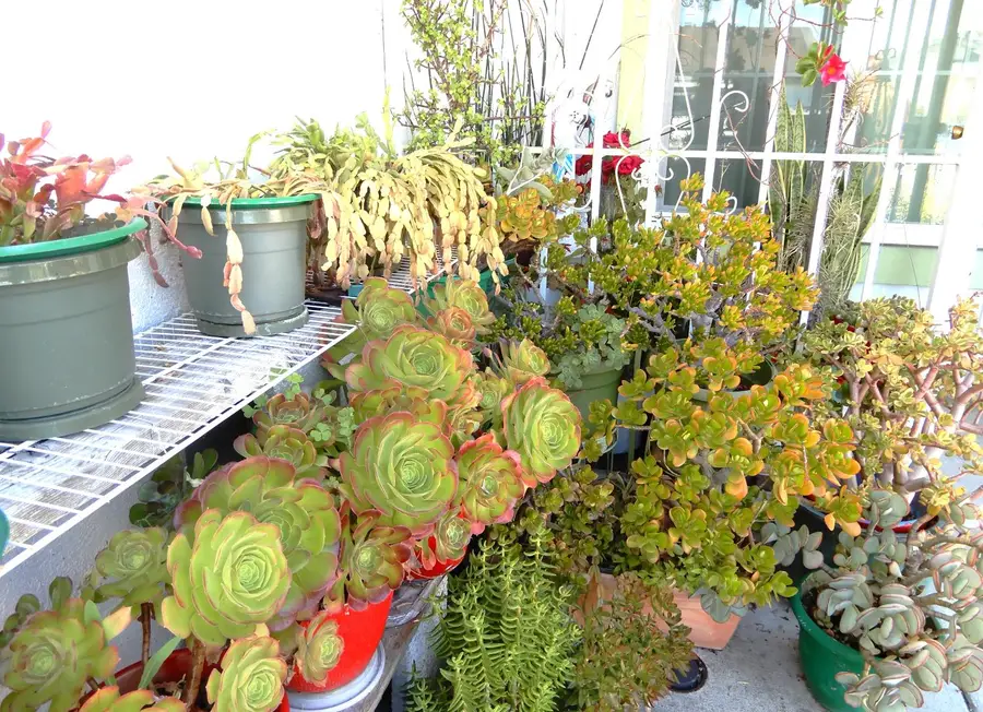 1863 Arroyo De Platina, San Jose, CA 95116 - #3