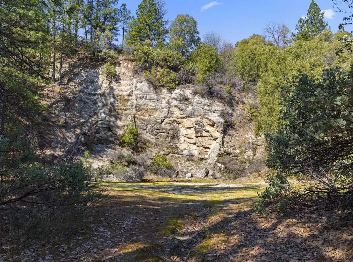 15528 Ca-49, Camptonville, CA 95922 - #1