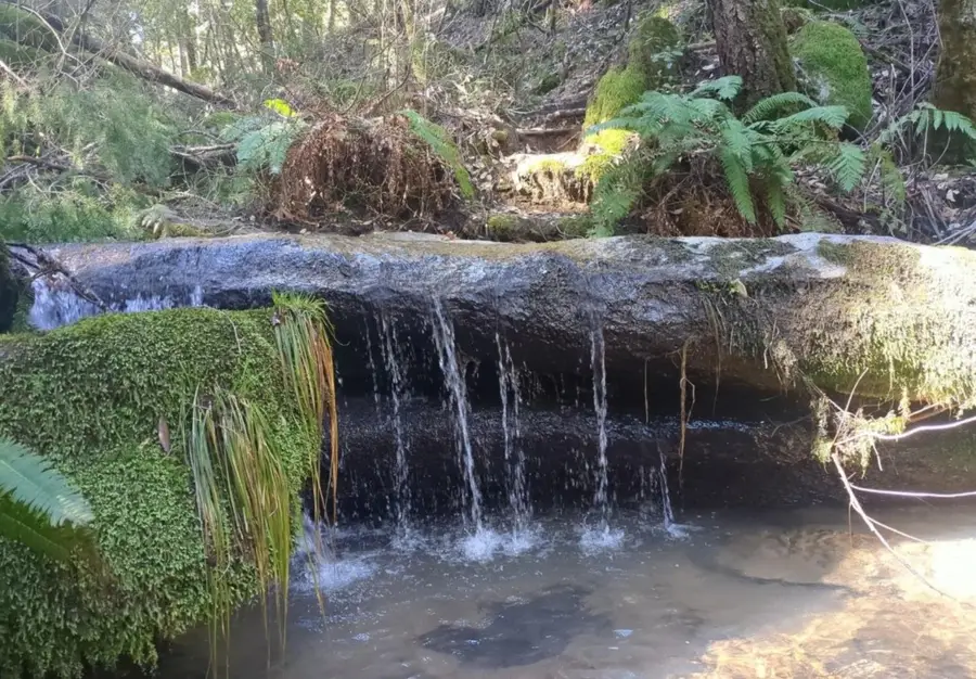 15528 Ca-49, Camptonville, CA 95922 - #3