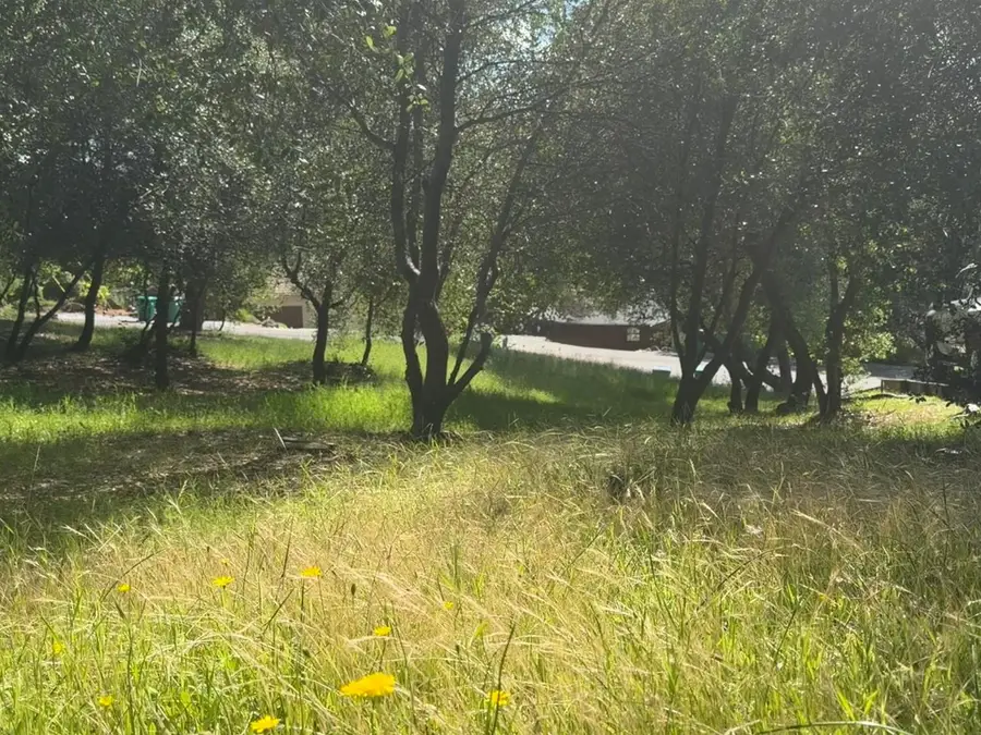 3379 Fairway Drive, Cameron Park, CA 95682 - #2