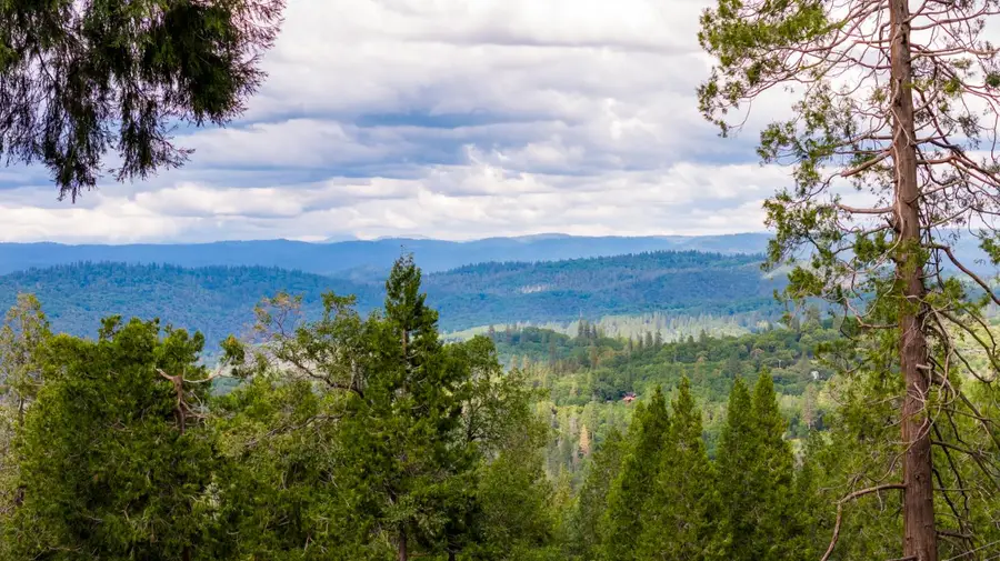 12278 Cement Hill Rd, Nevada City, CA 95959 - #2