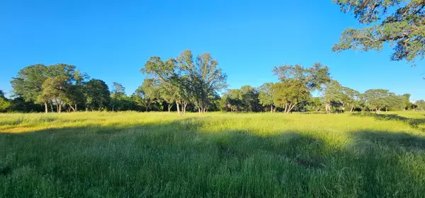 0 Fruitvale Road, Lincoln, CA 95648