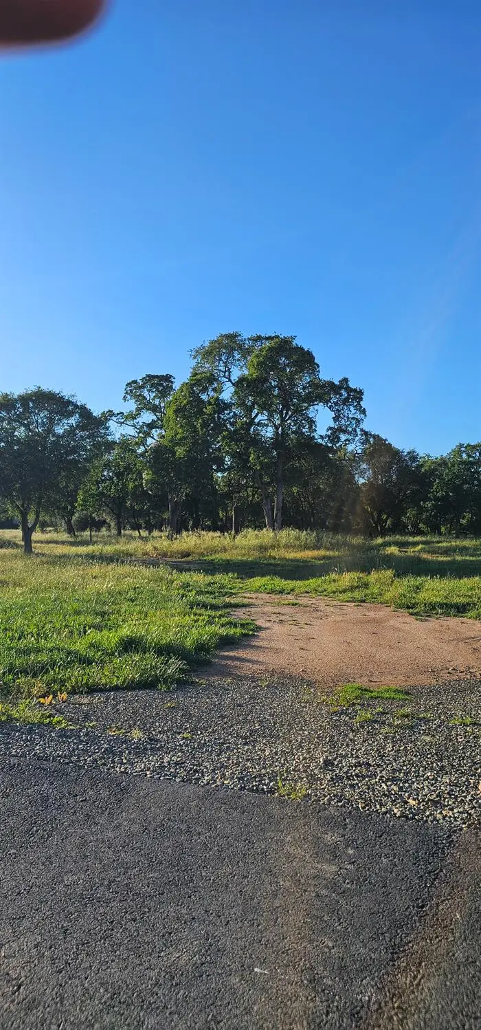 0 Fruitvale Road, Lincoln, CA 95648 - #3