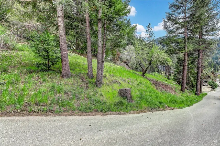 118 E. River St., Downieville, CA 95936 - #2