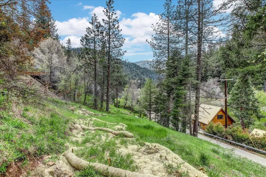 118 E. River St., Downieville, CA 95936 - #3