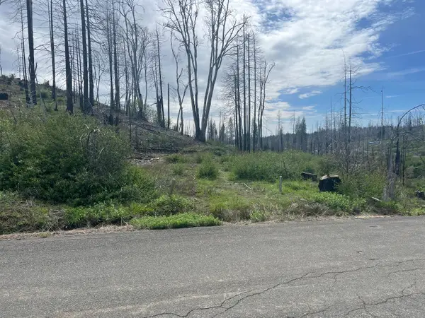 7352 Winding Way, Grizzly Flats, CA 95636