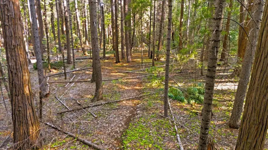 13966 Climbing Way, Nevada City, CA 95959 - #3