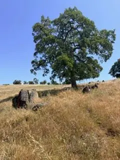 9596 Paraiso Boulevard, La Grange, CA 95329 - #1