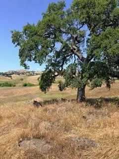 9596 Paraiso Boulevard, La Grange, CA 95329 - #3