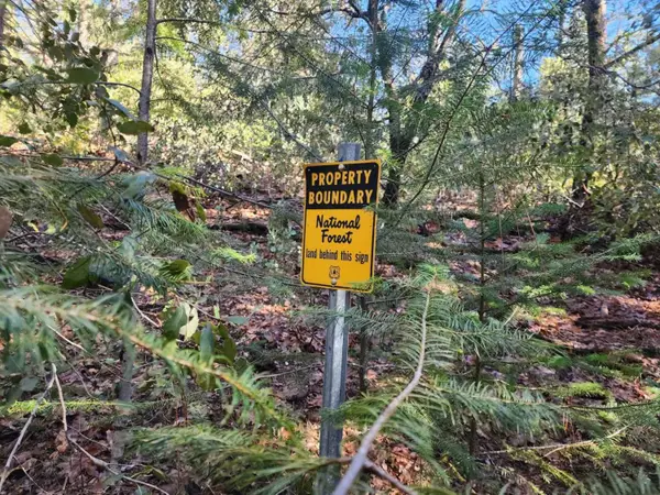 0 Grey Eagle, Garden Valley, CA 95633